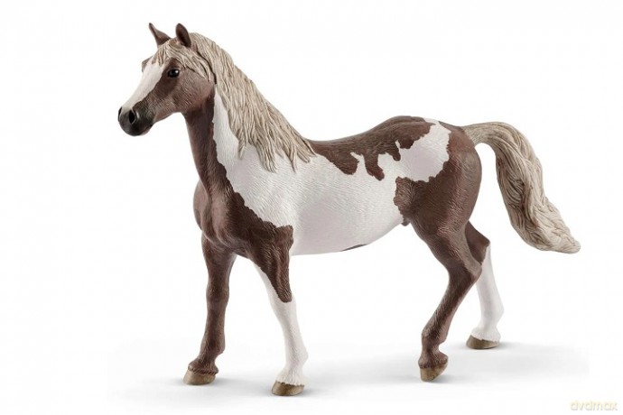 SLH Paint Gelding koń 13885 64051