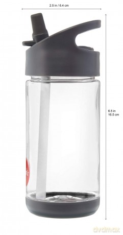 3 Sprouts - Water Bottle - Gray Fox