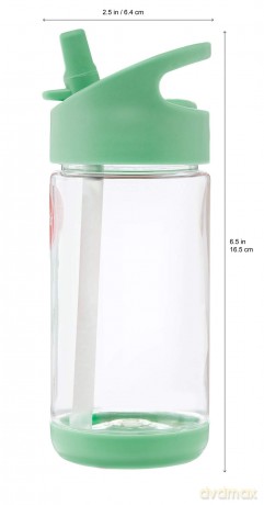 3 Sprouts - Water Bottle - Mint Owl