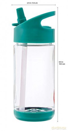 3 Sprouts - Water Bottle - Teal Bear
