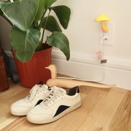 Bird Shoe Horn