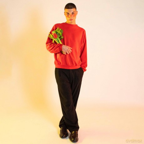 Eat My Socks - Pretty Rose - Red - One size