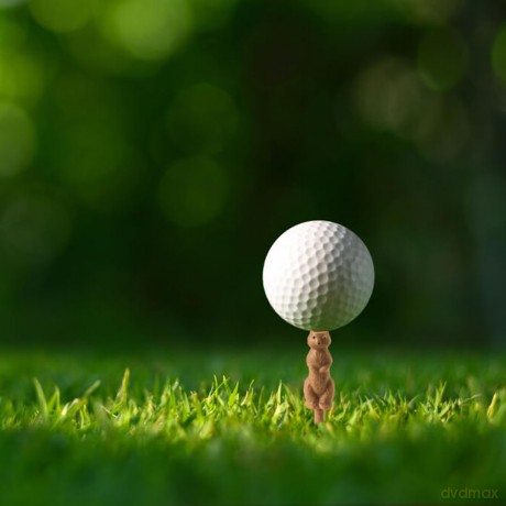 Gopher Golf Tee S/6