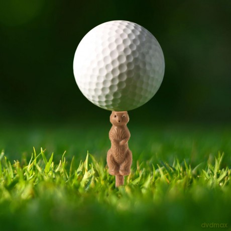 Gopher Golf Tee S/6