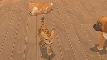 My Universe (Pets Edition) [GRA SWITCH]