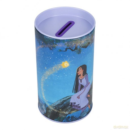 Wish Tin Money Box