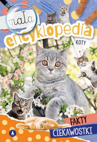 Koty. Mała encyklopedia - Wioleta Żyłowska [KSIĄŻKA]