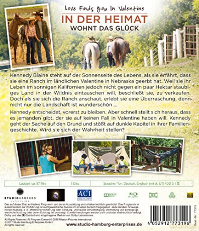 Love Finds You in Valentine [Blu-Ray]