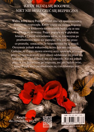 Dusza krwi i popiołu - Jennifer L. Armentrout [KSIĄŻKA]