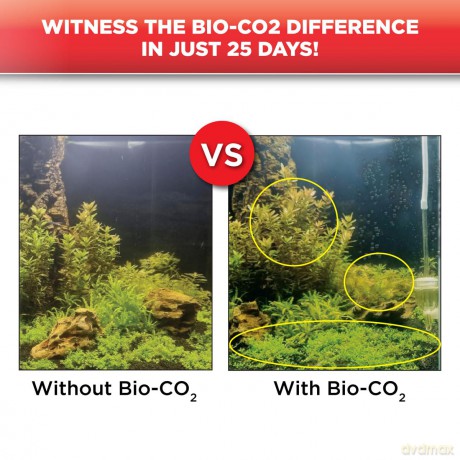 Fluval - Bio Co2 Set 125L - (141.8930)