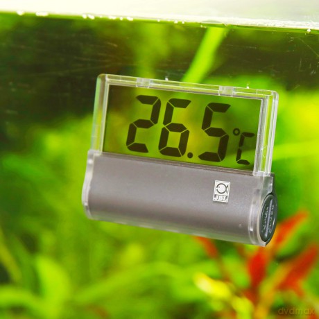 JBL - Aquarium Thermometer Digiscan Digital 6,5X5Cm - (133.0602)