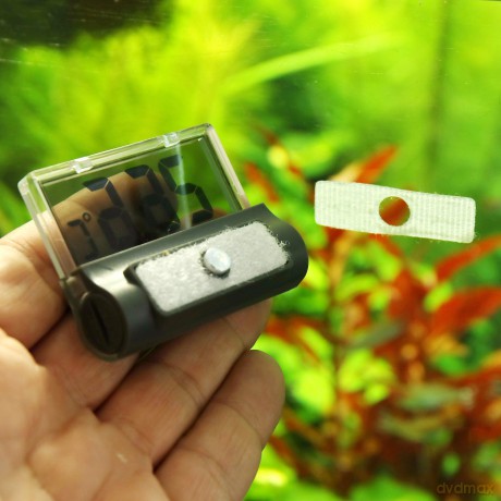 JBL - Aquarium Thermometer Digiscan Digital 6,5X5Cm - (133.0602)