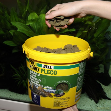 JBL - Pronovo Pleco Wafer Xl 5,5L - (152.0456)