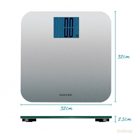 Salter - Personal Scales Max 250 kg Silver