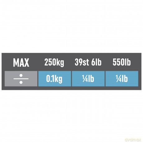 Salter - Personal Scales Max 250 kg Silver