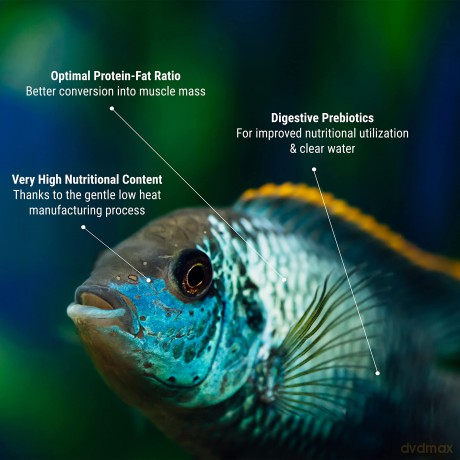 Tetra - Pro Colour 10L