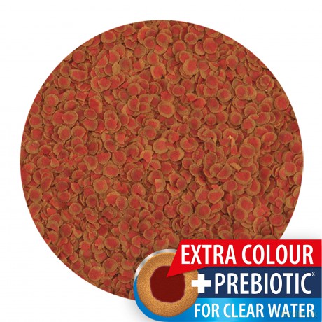 Tetra - Pro Colour 10L
