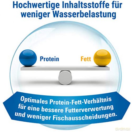 Tetra - TetraMin 10L XL Flakes