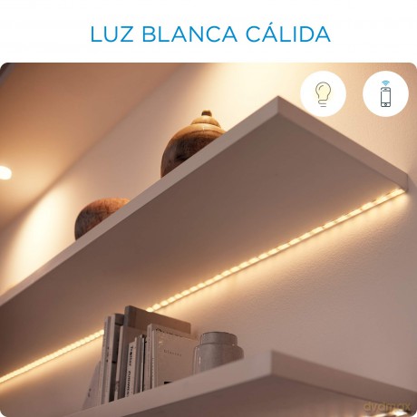 WiZ - A60 Bulb E27 Tunable White
