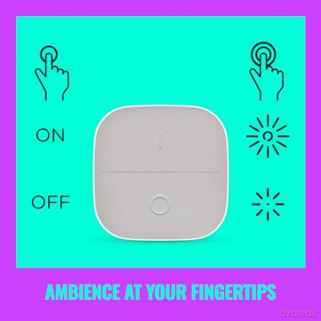 WiZ - Portable button EU
