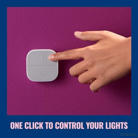 WiZ - Portable button EU