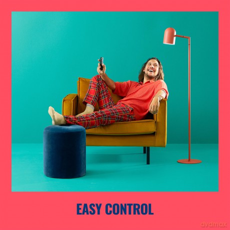 WiZ - Remote Control GenII EU