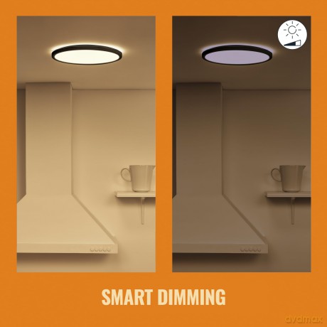 WIZ -SuperSlim WiZ Ceiling 14W B RD 27-65K TW