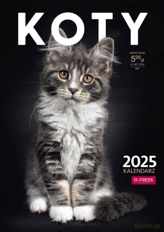 Kalendarz 2025 A4 Ścienny Koty [KALENDARZ]