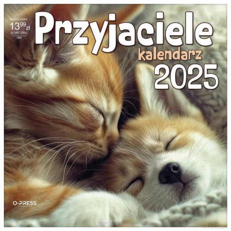 Kalendarz 2025 Ścienny Pzyjaciele [KALENDARZ]