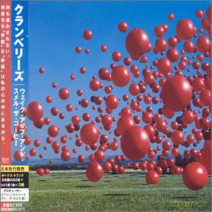 The Cranberries: Wake Up and Smell the Coffee [CD]