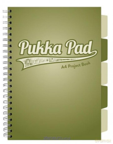 Project Book Olive A4/100K kratka oliwkowy (3szt)