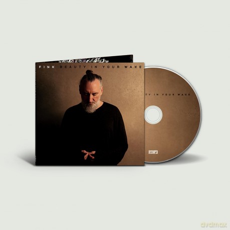 Fink: Beauty In Your Wake [CD]
