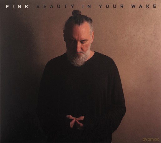 Fink: Beauty In Your Wake [CD]
