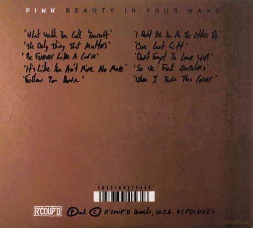 Fink: Beauty In Your Wake [CD]
