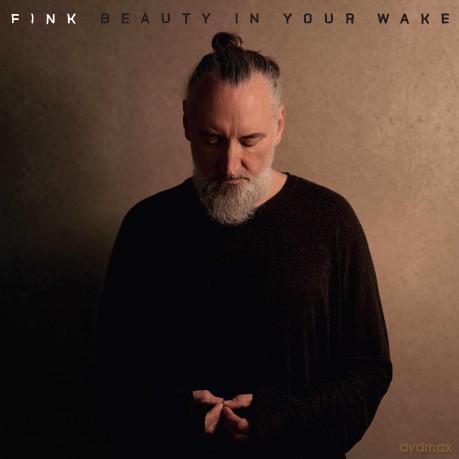Fink: Beauty In Your Wake [Winyl]