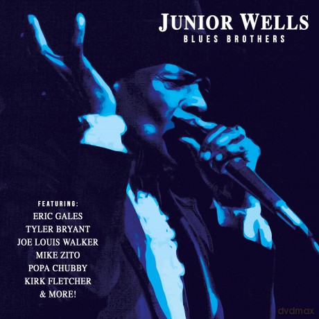 Junior Wells: Blues Brothers [Winyl]