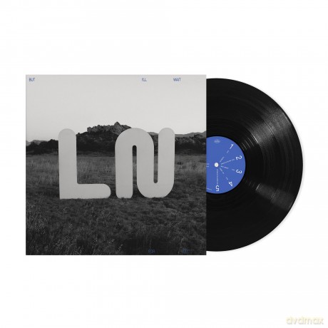 Local Natives: But Ill Wait For You [Winyl]