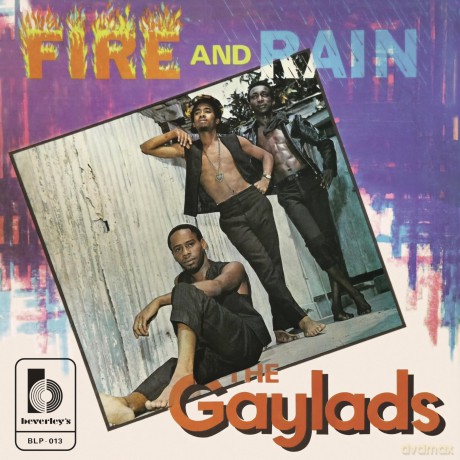 Gaylads: Fire And Rain [Winyl]