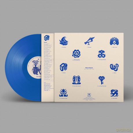 Hiatus Kaiyote: Love Heart Cheat Code (Blue/White Marbled) (Indies) [Winyl]