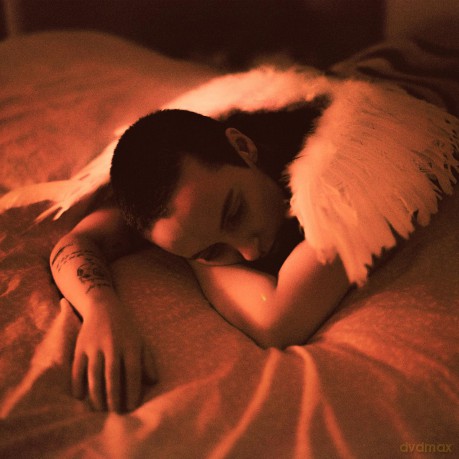 Sea Girls: Midnight Butterflies [CD]