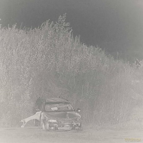 Actress: Statik [CD]