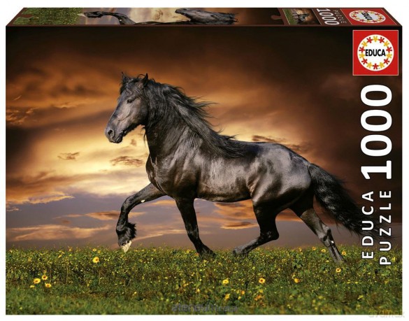 EDUCA 1000 el. Kłusujący koń [PUZZLE]