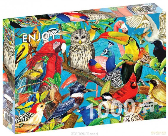 ENJOY 1000 el. Kolorowe ptaki [PUZZLE]