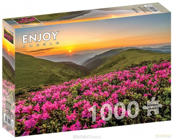 ENJOY 1000 el. Różowy zmierzch [PUZZLE]