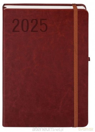 Kalendarz 2025 A5 Formalizm DNS brązowy [KALENDARZ]