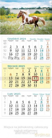 Kalendarz 2025 trójdzielny Konik [KALENDARZ]