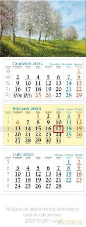 Kalendarz 2025 trójdzielny Wiosna [KALENDARZ]