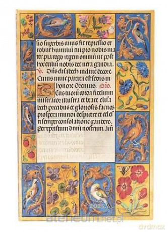 Kalendarz tygodniowy maxi 2025 Spinola Hours [KALENDARZ]