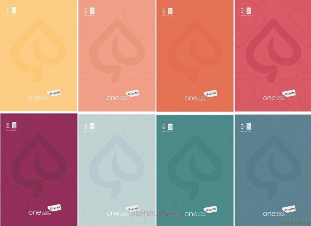 Zeszyt A5/60K kratka One colour (10szt)