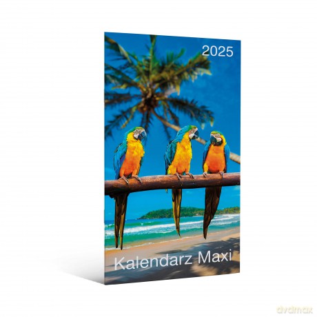 Kalendarz 2025 Maxi 1szt.mix [KALENDARZ]